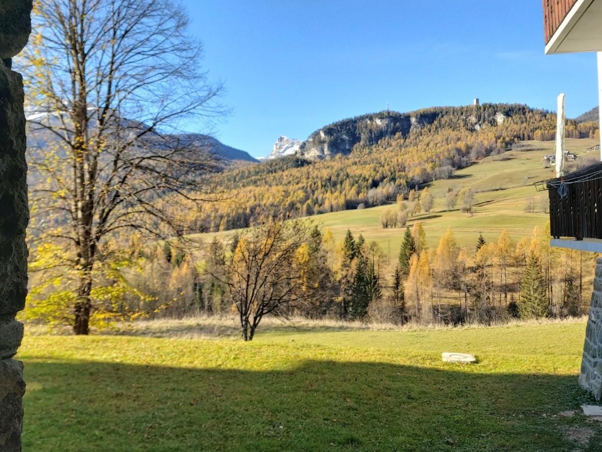 Appartamento Stella Alpina Cortina d'Ampezzo Buitenkant foto