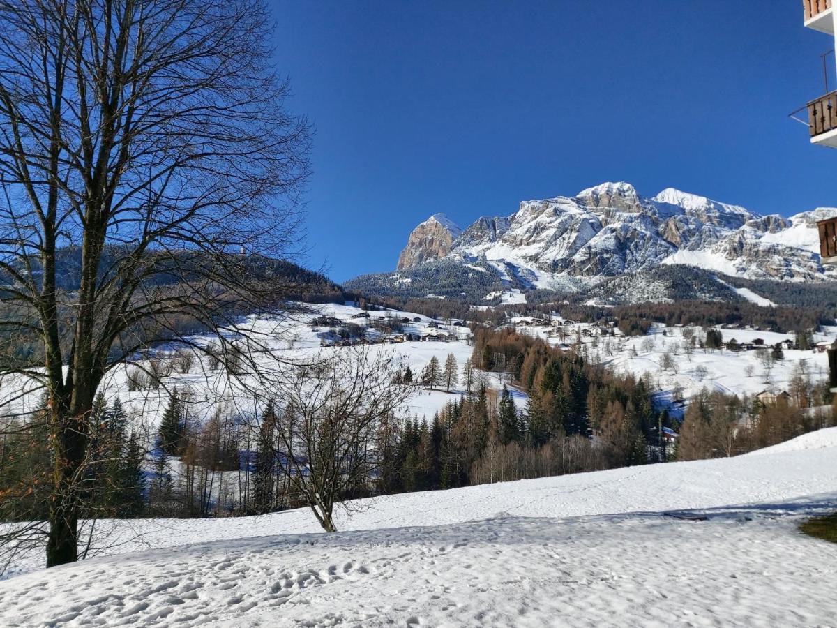 Appartamento Stella Alpina Cortina d'Ampezzo Buitenkant foto